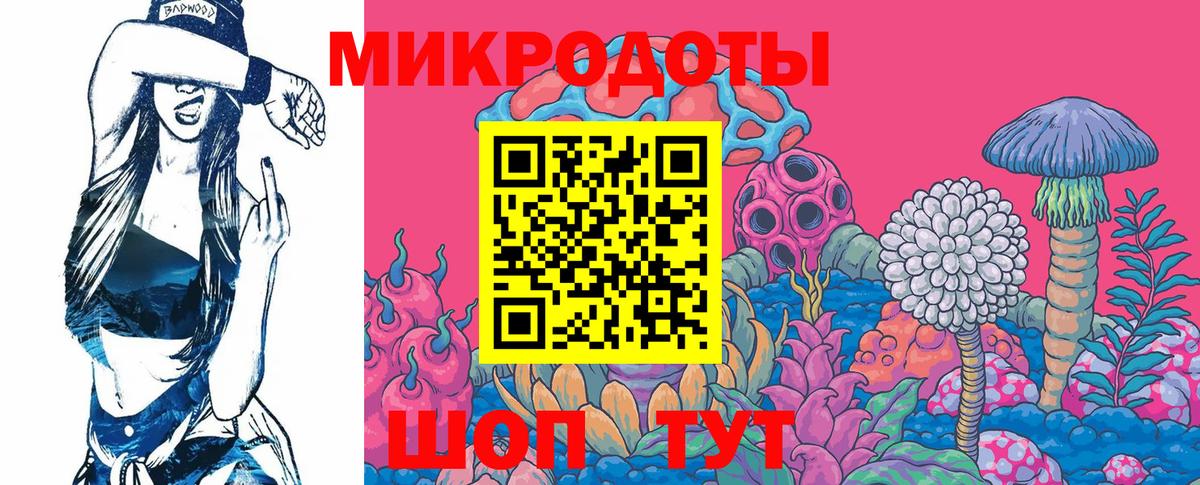 Галлюциногенные грибы ЛСД Гусиноозёрск
